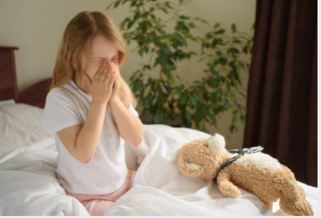 Comment réduire votre exposition aux acariens déclencheurs d'allergies dans votre maison ?