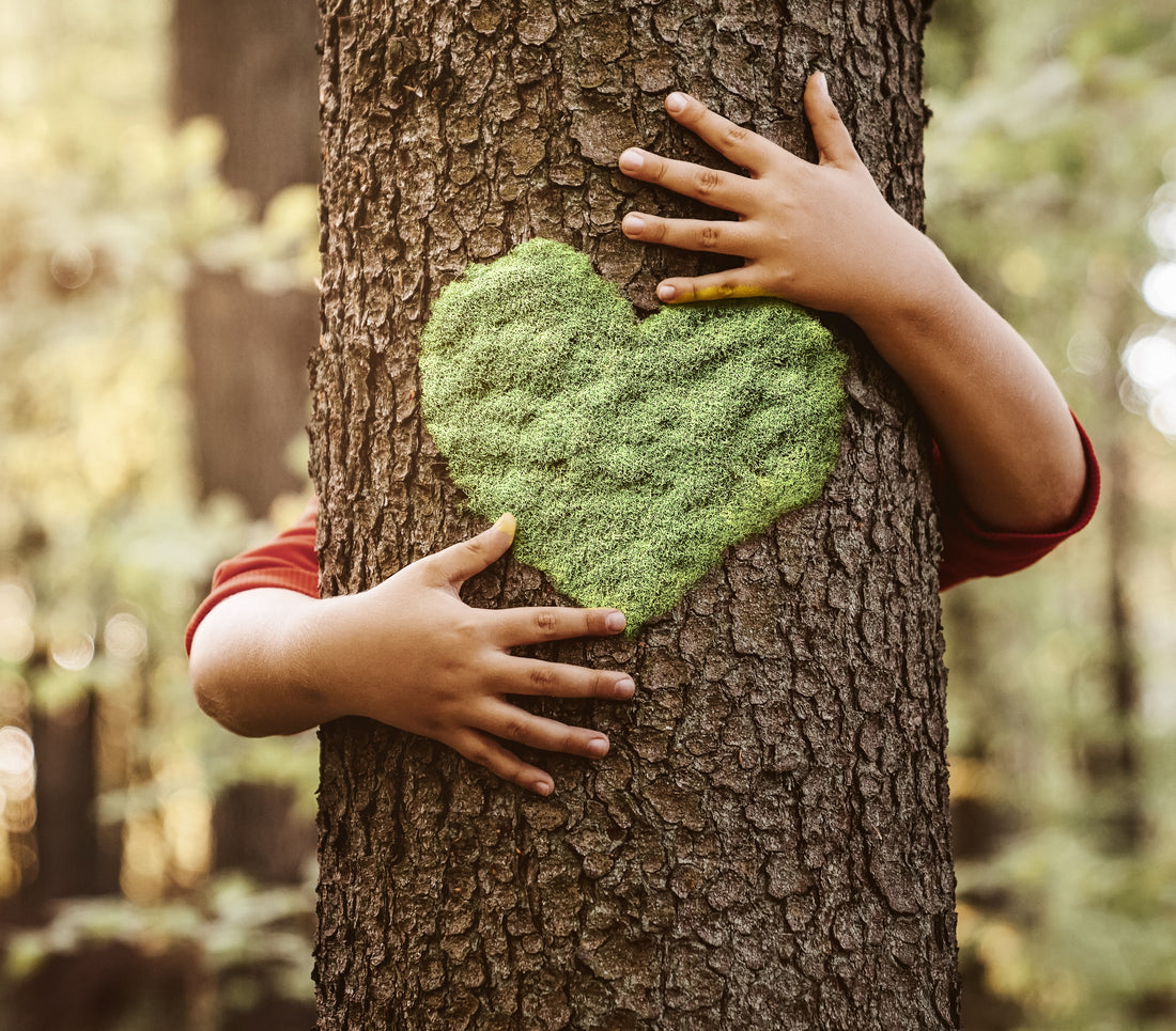 Un enfant qui enlace un arbre avec un coeur en mousse au milieu