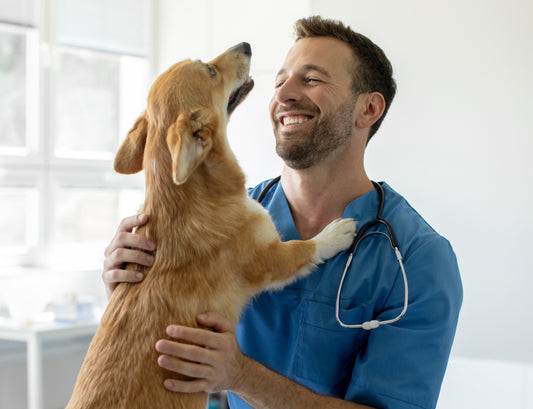 Un vétérinaire heureux en blouse bleu qui prend dans ses bras un chien roux